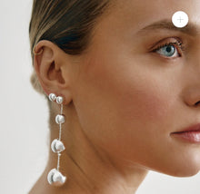 Load image into Gallery viewer, GROW EARRINGS SILVER
